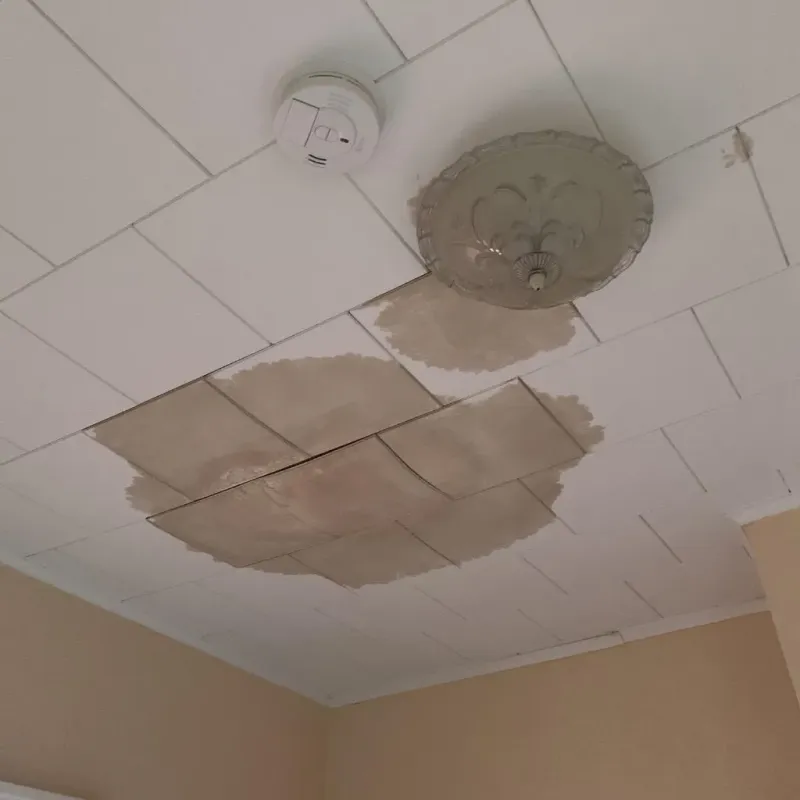 Ceiling Water Damage Repair in Taylors Falls, MN